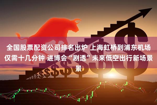 全国股票配资公司排名出炉 上海虹桥到浦东机场仅需十几分钟 进博会“剧透”未来低空出行新场景