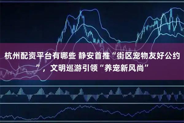 杭州配资平台有哪些 静安首推“街区宠物友好公约”，文明巡游引领“养宠新风尚”
